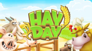 hay-day