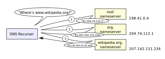 DNS Lookup