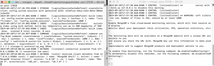 Terminais mongod e mongo