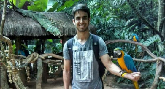 Autenticação de Web API com API Key