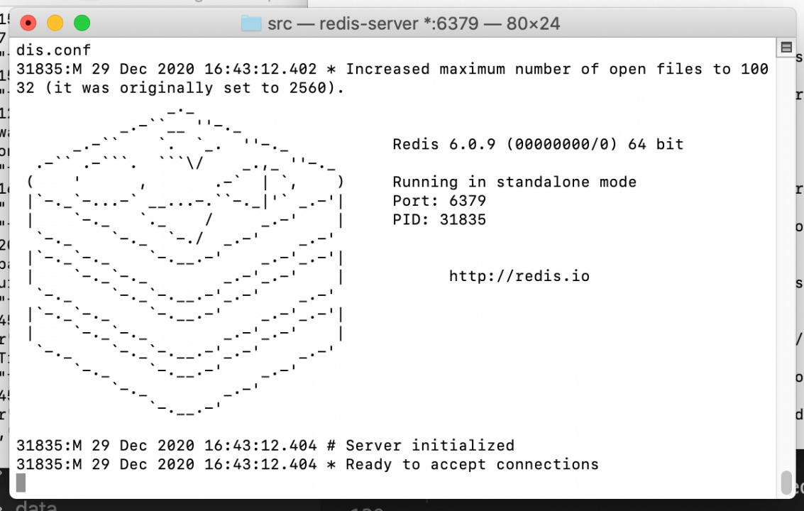 Redis: instalação e primeiros comandos